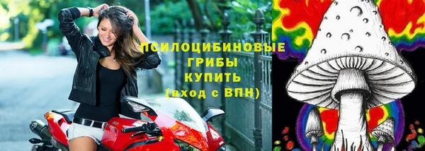 бошки Абинск