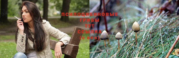 бошки Абинск