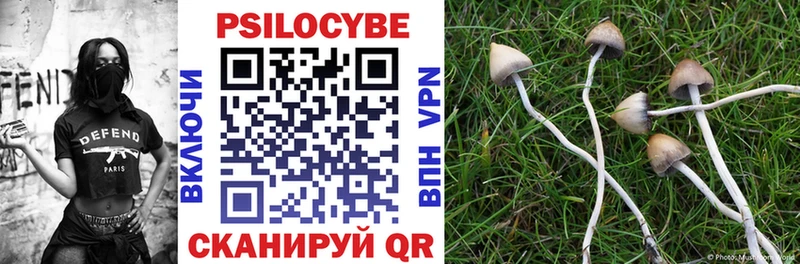 Галлюциногенные грибы Psilocybe  кракен как войти  Стерлитамак 